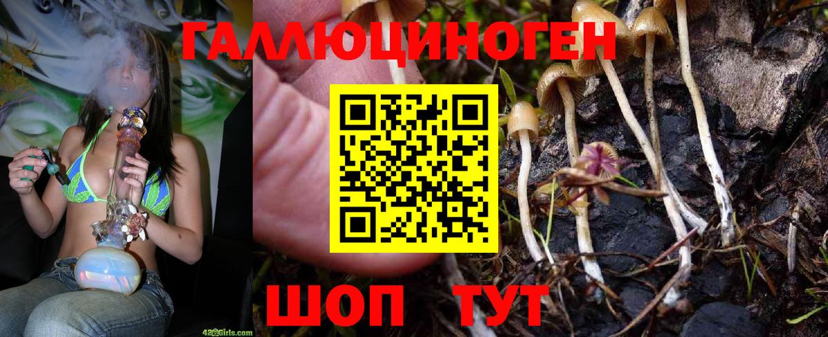 Псилоцибиновые грибы MAGIC MUSHROOMS  Псилоцибиновые грибы MAGIC MUSHROOMS  купить закладку  Владивосток  Вход с VPN 