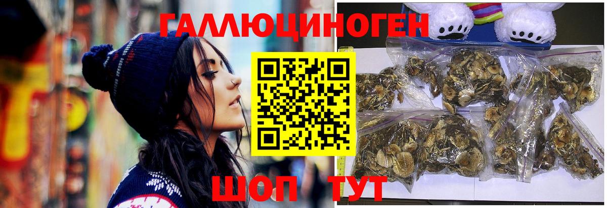 Псилоцибиновые грибы мицелий Владивосток